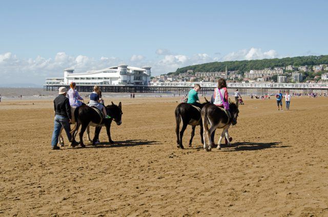 Landlords Oppose Licensing Scheme in Weston-Super-Mare