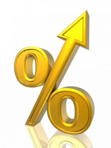 Interest rates held at 0.5% 