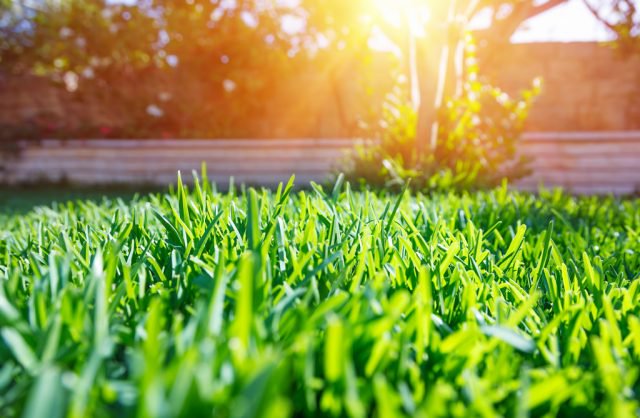 Four in ten properties in London possess no outdoor space 