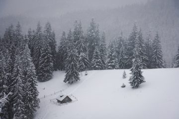 Despite the weather finally warming up - the UK's housing market seems stuck in a metaphorical cold snap