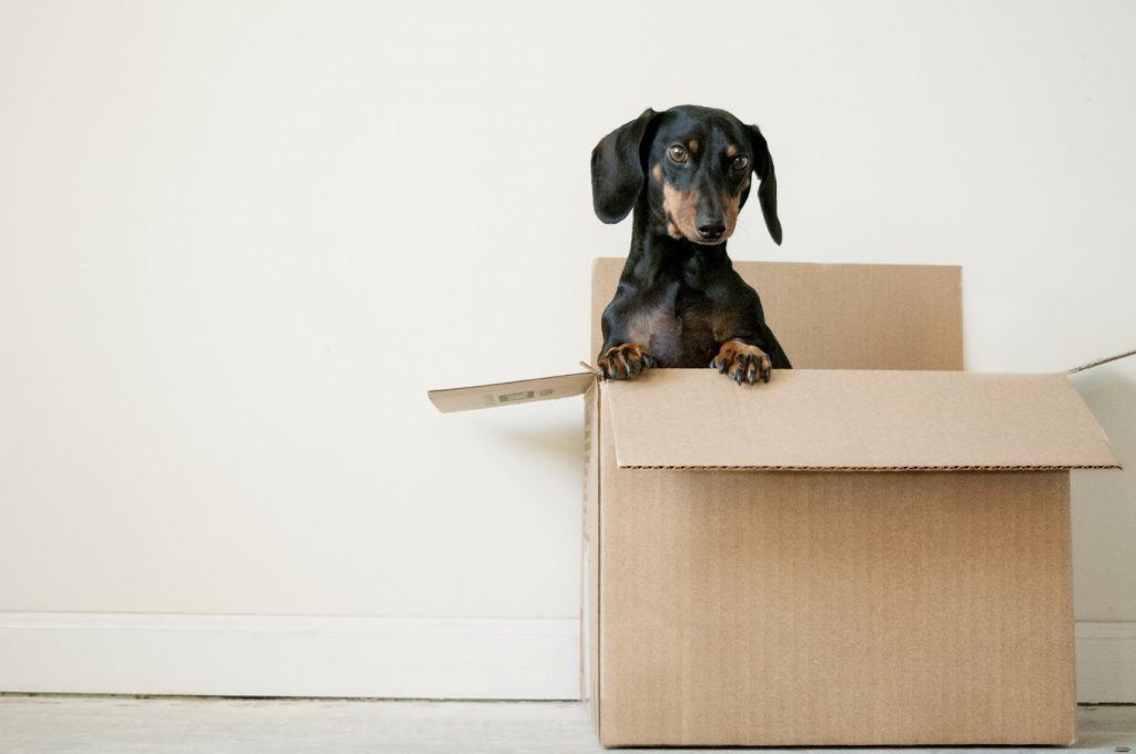 moving out