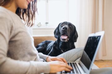 student pet rental requests