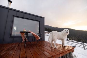 Tips for offering dog friendly holiday lets to boost bookings