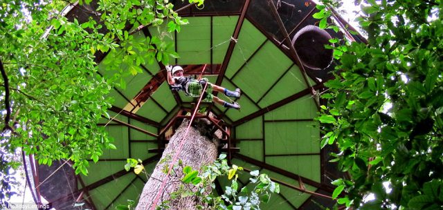 Take a Climb into Nature in this Treehouse
