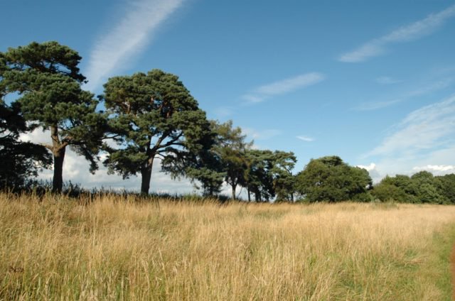 Bicester Garden Town Receives £1.5m Feasibility Grant
