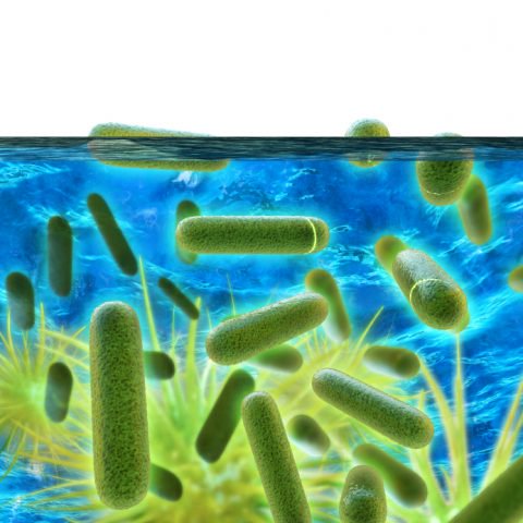 What Landlords Must Do to Prevent Legionella 