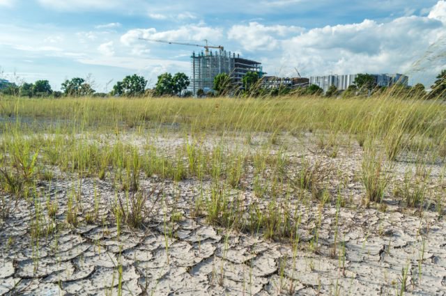 Councils Urged to Release Land for New Homes