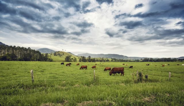 Green Belt Land Could Solve the Housing Crisis