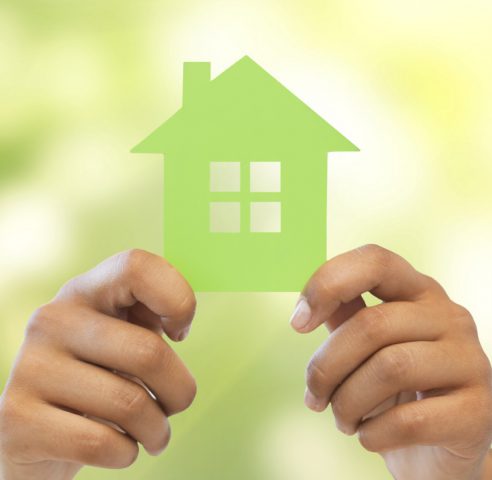 Landlords Encourage Greener Homes