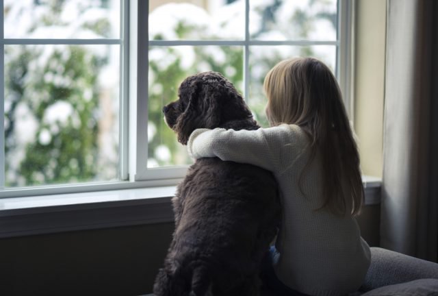 Pet-Friendly Rental Homes